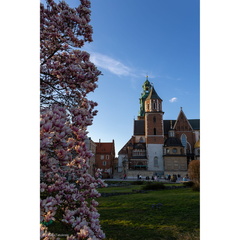 MWM AA6A9741-HDR LR PS
